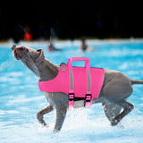 Queenmore Medium Dog Life Jacket,Dog Life Vest for Swimming,Dog Floating Vest for Boating,Pet Puppy Lightweight Adjustable Reflective Lifesaver Vest with Back Zip,Rescue Handle,Leash Hook(Fuchsia M)