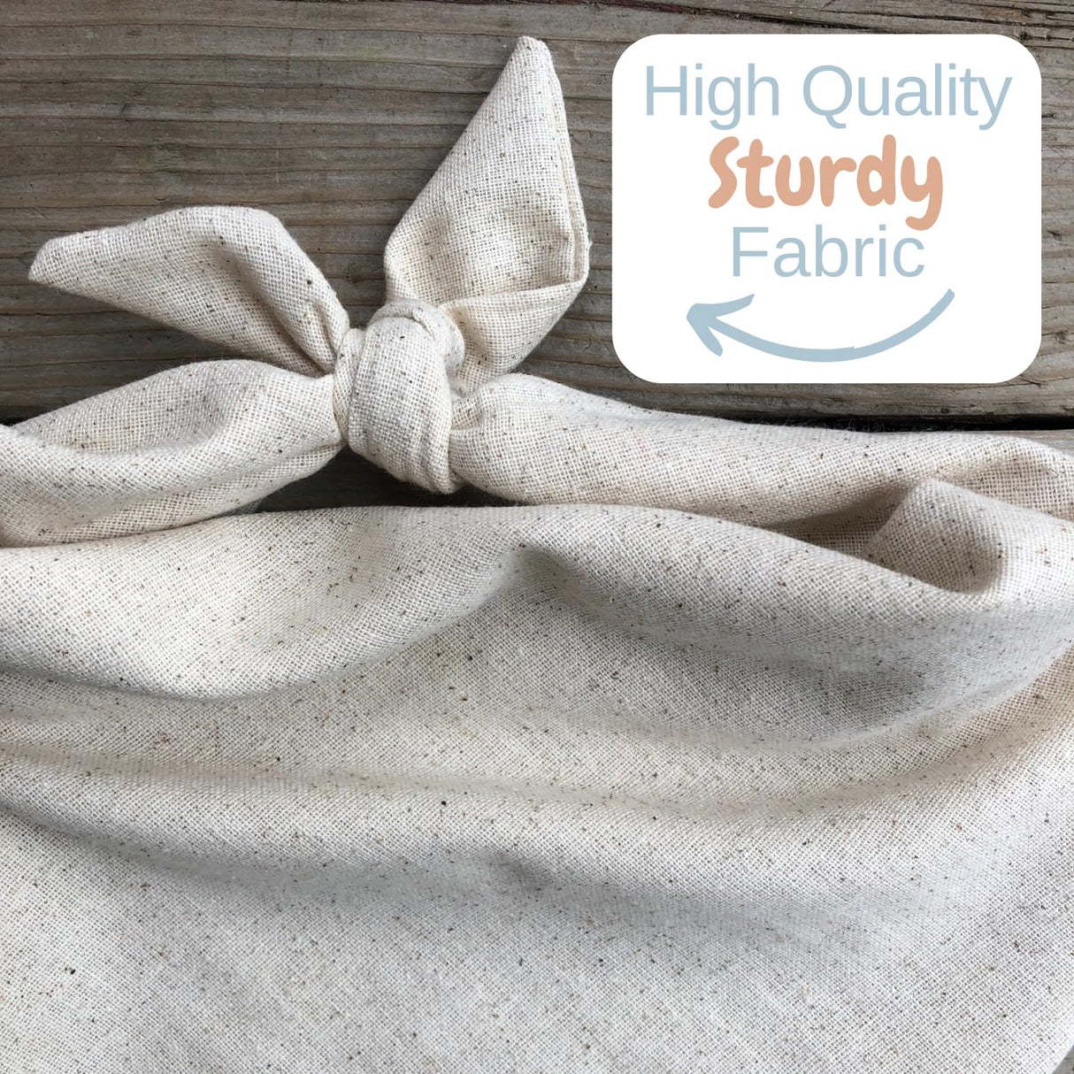 Dog Bandana Birthday Boy Barkday Pawty Attire Oatmeal Beige Boho Simple (Medium)