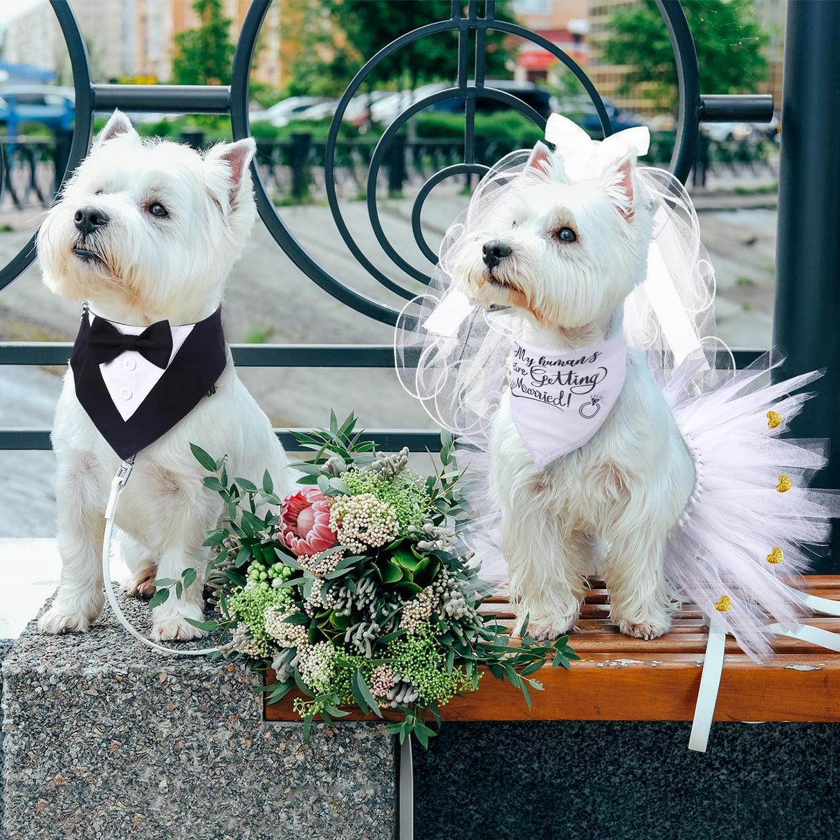 4 Pcs Dog Wedding Costume Set Include Veil with Clip, Bandana, Skirt, Adjustable Formal Bandana with Bowtie for Dog Bride Bridegroom Outfit Wedding Party(Medium)