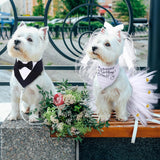 4 Pcs Dog Wedding Costume Set Include Veil with Clip, Bandana, Skirt, Adjustable Formal Bandana with Bowtie for Dog Bride Bridegroom Outfit Wedding Party(Medium)