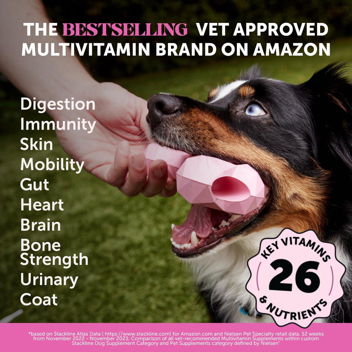 Multivitamin Dog Supplement - Glucosamine Chondroitin for Dogs, Probiotics, Omega Fish Oil, Dog Supplements & Vitamins, Vitamins for Skin and Coat Allergies, (Peanut Butter 90 ct)