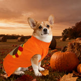 PAYHTOW 2 Pack Thanksgiving Dog Sweater, Knitted Dog Thanksgiving Fall Holiday Sweaters Outfit Clothes for Small Medium Large Dogs Pets (Turkey & Pumpkin, X-Large)