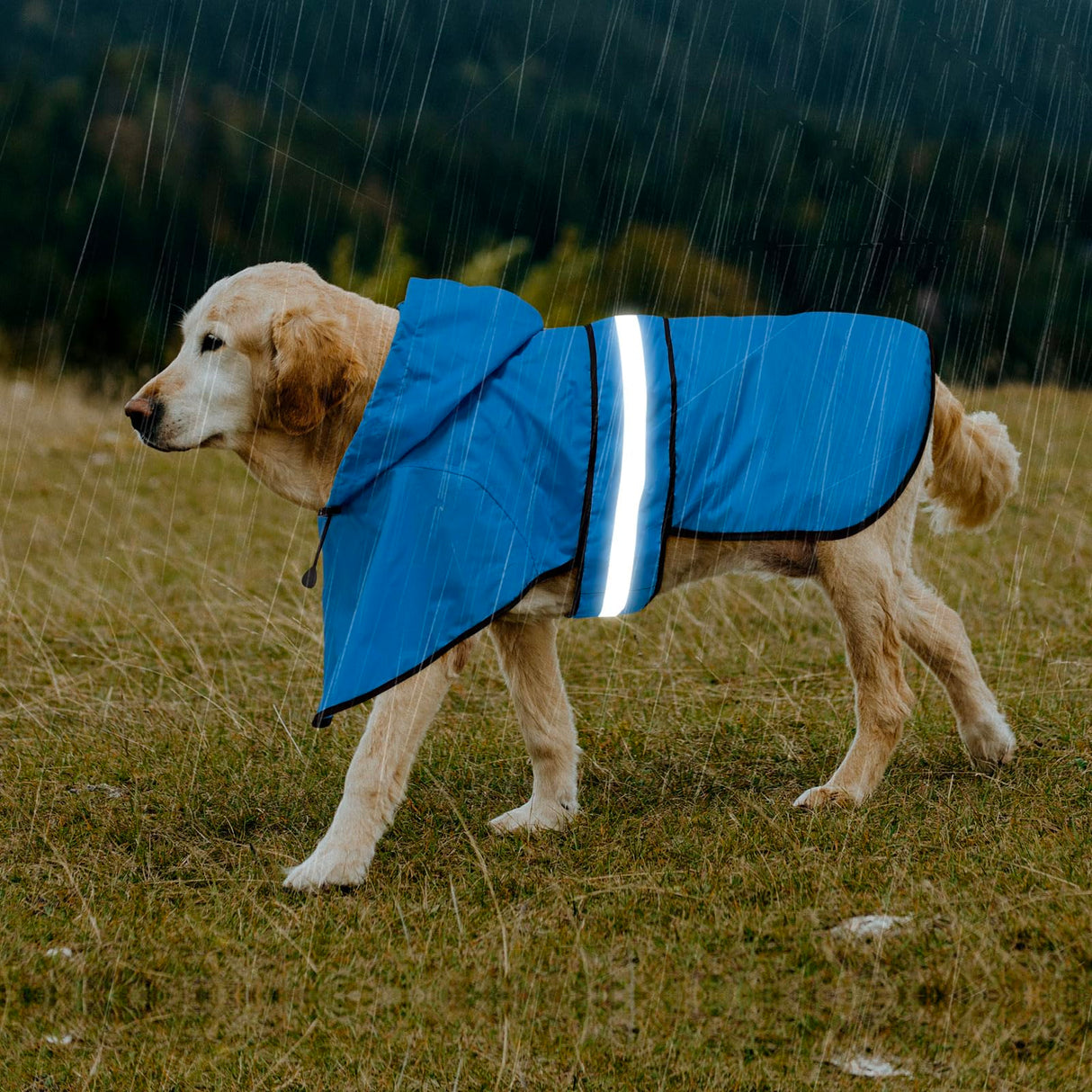 Domagiker Waterproof Dog Raincoats - Hooded Raincoats for Dogs, Adjustable Reflective Dog Rain Coat, Windproof Dog Rain Jacket Pet Rain Slicker Poncho for Small, Medium, Large Dogs (Small, Blue)