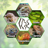 Reptile Decor 4PCS Natural Forest Branch Terrarium Habitat Driftwood Decoration Lizard Climbing Tree Branch for Bearded Dragon Gecko Snake Frog Chameleon Spider