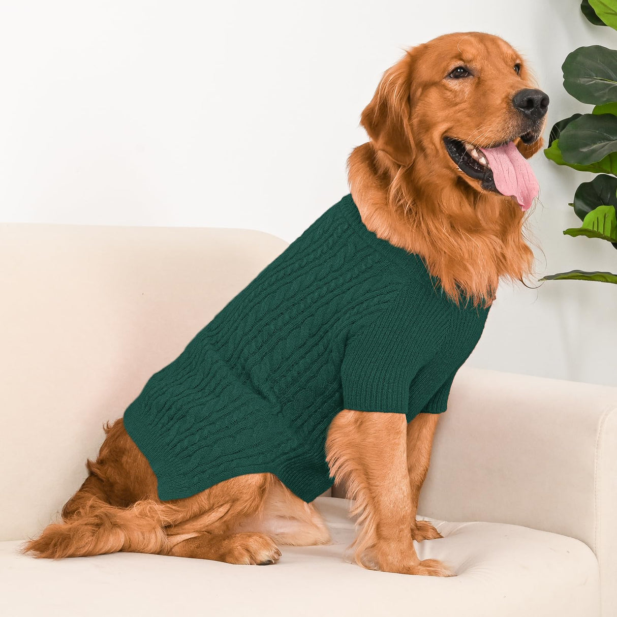 Lorehelina Dog Sweater Turtleneck Pullover Cable Knit for Boys Girls Large Dogs Bulldog Pitbull Labrador Doberman Winter Stretch Clothes Long Sleeves (XXL, Green)