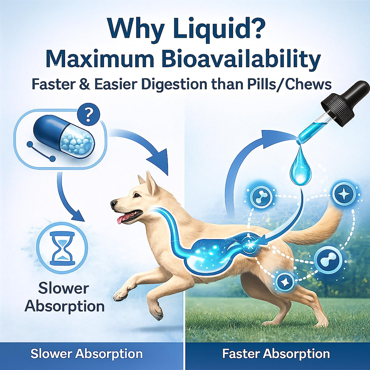 Healthy Petz Premium Liquid Collagen for Dogs - Skin & Coat Supplement with Hyaluronic Acid & Biotin, Supports Joint Health, Mobility & Hydration for All Dogs, Bacon Flavor - 2 fl oz (1)