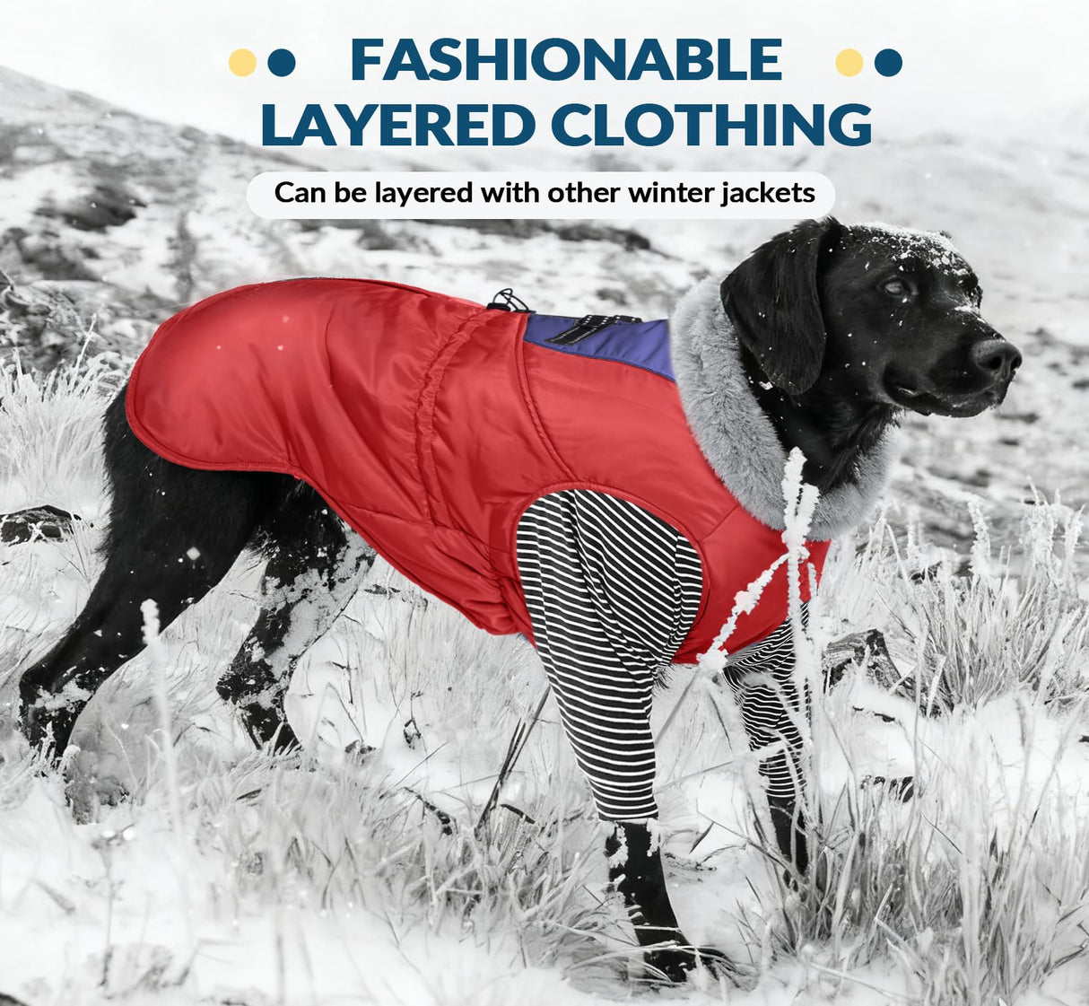 ROZKITCH Dog Fleece Sweater for Small Dogs Male Girl, Lightweight Shirt with Leash Hole, Soft Jumpsuit Loungewear for Indoor Outdoor Dailywear for Pug, Shih Tzu, Cocker Spaniel Blackwhite S
