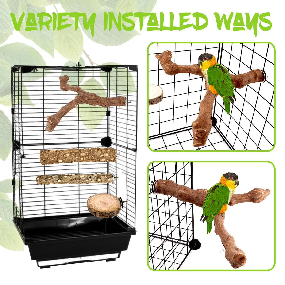 CZWESTC 8PCS Natural Grape Wood Bird Perch Set - Parrot Cage Stand with Paw Grinding Forks, Chewing Sticks & Exercise Branches for Parakeets, Cockatiels, Conures, Budgies, Finches