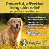 Happy Jack Xylecide, Itch Relief Shampoo for Dogs, Control Ringworms, Itchy Skin Treatment for Hot Spots, Seborrheic Dermatitis, Dandruff, Psoriasis, Eczema, Kennel Itch (12 oz)