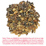 Exotic Nutrition Premium Nut Mix - Unroasted, Unsalted Walnuts, Hazelnuts, Almonds - Food & Treat for Squirrels, Parrots & Other Small Pets (5 lb.)
