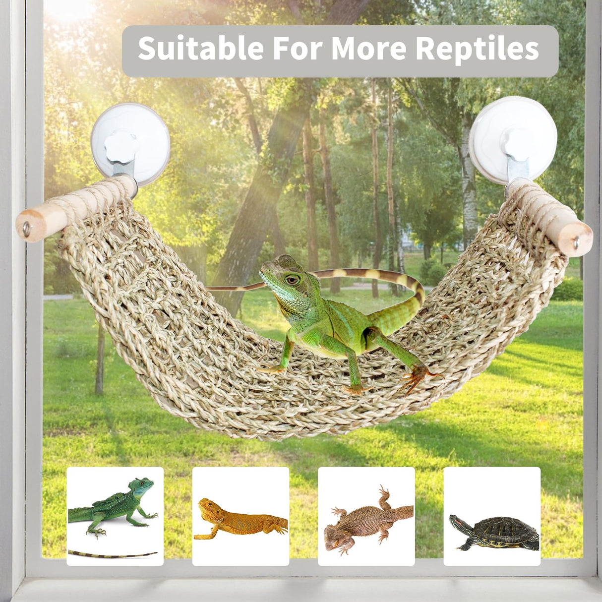 FlidRunest 21.6 x 7.8 in Seagrass Bearded Dragon Hammock for Window, Large Lizard Window Perch, Reptile Hammock Perch with Powerful Suction Cups for Lizard, Leopard Gecko, Chameleon