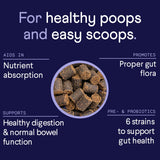 Finn Comfy Pup Bundle | Allergy & Itch + Digestive Probiotics