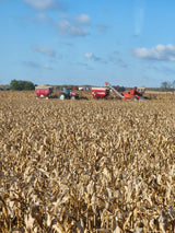 Disbro Farms Ear Corn 6.5 pounds