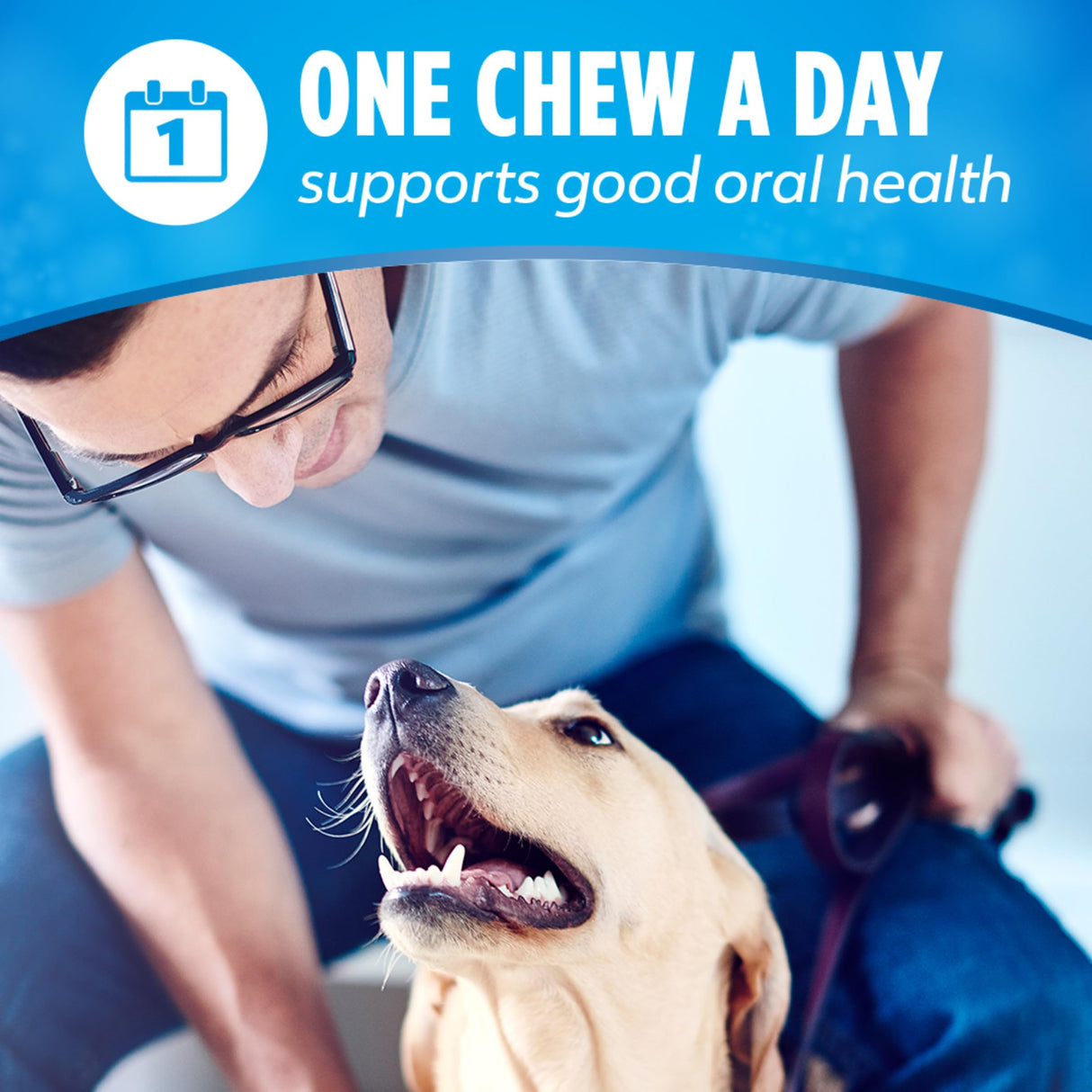 DentaLife Daily Oral Care Dog Treats for Large Dogs, Chewy Dental Treat to Freshen Breath and Fight Tartar, Chicken Flavor - 30 ct. Pouch