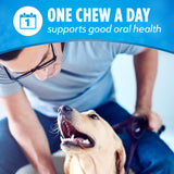 DentaLife Daily Oral Care Dog Treats for Large Dogs, Chewy Dental Treat to Freshen Breath and Fight Tartar, Chicken Flavor - 30 ct. Pouch