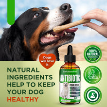 Load image into Gallery viewer, Dog Antibiotics for Infections, Cough, &amp; Itching | Natural Antibiotics for Dogs for All Ages to Promote Wound Healing | Dog UTI Treatment and Tooth Infection Treatment | Chicken Flavor | 2 Oz
