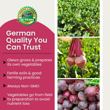 Load image into Gallery viewer, Olewo Original Red Beets Dog Food Topper – Natural Anti Itch, Immune, Cleansing, Skin &amp; Coat Support, Dehydrated Whole Food Multivitamin, Fiber for Dogs, 1 lb
