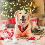 Personalized Christmas Dog Bandanas Letter Name Custom Neckwear Dog Scarf Triangle Bibs Kerchief Pet Costume Accessories for Small Medium Large Dogs Cats Pets Puppy, Medium
