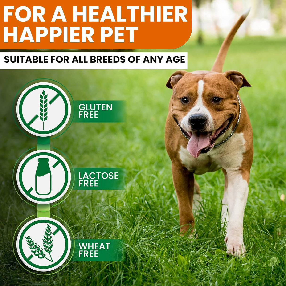 Turmeric for Dogs – 180 Count Tablet Treats with Curcumin & Piperine – Joint Health, Mobility, Allergy & Itch Relief, Skin & Coat, Hot Spots – Duck Flavor with Salmon Oil