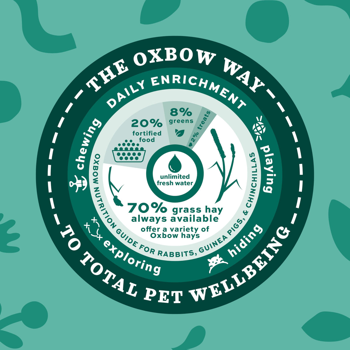 Oxbow Essentials Young Guinea Pig Food, Guinea Pig Pellets Made with Timothy Hay, Stabilized Vitamin C, Small Animal Pet Products, Small Animal Food Made in USA, High Fiber, 10 lb. Bag