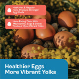 Hippy Chick Egg Booster for Chickens – Omega-3 Vitamin Supplement for Laying Hens – Egg & Feather Health Support – Natural Poultry Treat and Layer Feed Additive