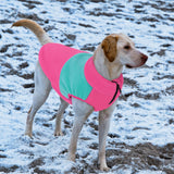 Queenmore Fleece Sweater Vest Jacket for Dogs, Pet Sweatshirt Winter Clothes for Boys Or Girls, Large Medium Small Sizes, Fuchsia/Mint, S
