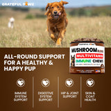 Turkey Tail Mushroom Supplement for Dogs - 170 Chews - Mushrooms for Dogs - Reishi, Lion’s Mane, Glucosamine Multivitamin - Immune Booster, Gut, Hip & Joint Health Support Vitamins, Energy & Skin
