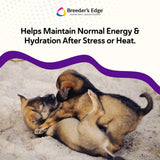 Breeder’s Edge Puppy Lyte, Electrolyte Supplement for Puppies and Nursing Dogs, Supports Hydration, Energy & Recovery, Chicken Soup Flavor, 300g