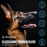 Best Paw Nutrition - Bacon Flavor Liquid Glucosamine for Dogs & Cats - Joint Supplement for Hip & Joint Pain Relief Pets Love - 32oz