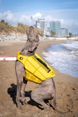 NOAH & PAW Dog Life Jacket, Human Standards Lifejacket Design, Dog Life Vest for Swimming and Boating, 3X Foam Support for Max Floating, Breathable Mesh, Salvavidas para Perros, Size M