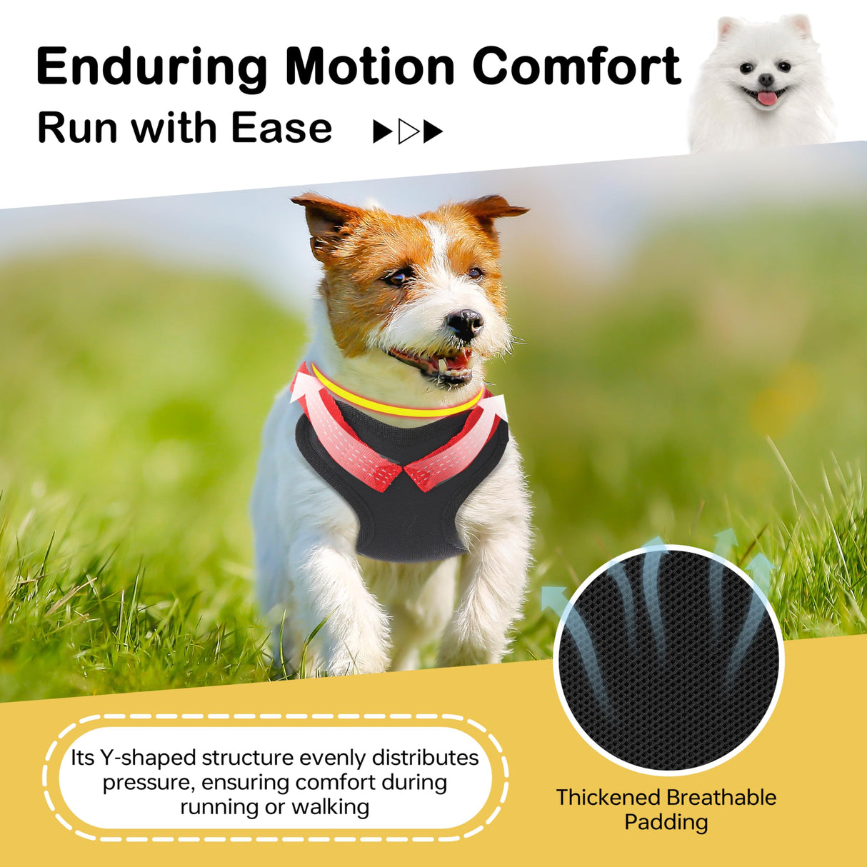 Adjustable Backpack for Small Dogs, Dog Backpack Harness with Reflective Leash, Built in Poop Bag Dispenser, Detachable Dog Back Pack for Outdoor Adventures, Puppy Training, Walking(Black,Large)
