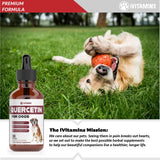Quercetin for Dogs | Dog Allergy Relief | Quercetin for Dogs Allergies | Dog Allergy | Quercetin | Dog Allergy Support | Quercetin Dog | Dog Allergies | Quercetin Supplements | Bacon Flavor (2 Pack)