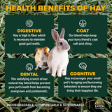 Eaton Pet and Pasture Naturally Grown, Premium, 1st Cut Blend, Western Timothy Hay Orchard Blend, Small Animal Food, Sustainable, Eco-Friendly, Farmer-Owned, 25LB-Box.