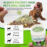 Petstoral Plaque Removal Natural Dental Powder for Cats - Cat Dental Care and Bad Breath Treatment, Chicken Flavour - Cat Teeth Cleaning Powder