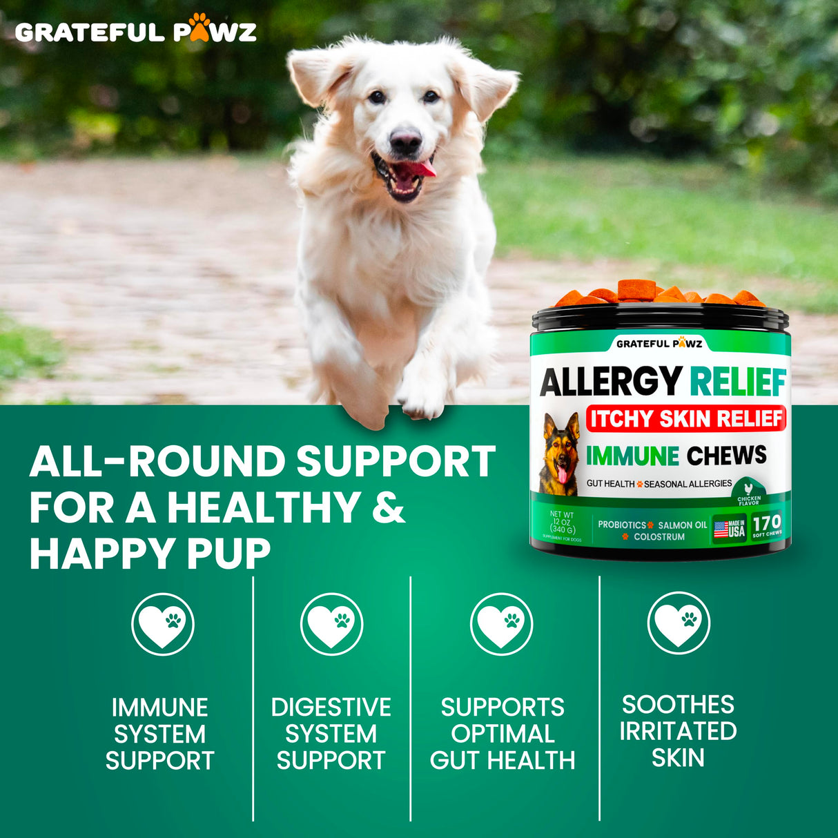 Dog Allergy Relief Chews - Dog Itch Relief - Probiotics, Omega 3 Fish Oil + Colostrum - Itchy Skin - Seasonal Allergies - Anti Itch Support & Hot Spots - Immune Health Supplement - Made in USA