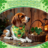 Cuffbow 200 Pcs St. Patrick's Day Dog Bandanas Bulk with Sayings Dog Bandanas Triangle Scarf Puppy Bibs Pet Costume Adjustable Cat Outfit Washable Bibs Kerchief for Small Medium Pet