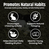 High Desert Alfalfa Hay, Protein Rich Soft Leaf Food for Young Growing Animals, Natural Rabbit Food and Guinea Pig Hay, Supports Digestive Health, Small Pet Supplies, Fresh Hand Packed 5 Lb Box