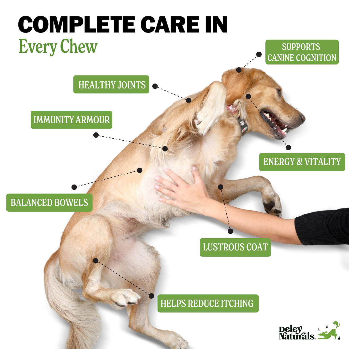 Deley Naturals 15 in 1 Multivitamin for Dogs - Complete Dog Vitamins and Supplements for Immune Support, Joint, Skin, Digestion, Heart & Overall Health - Daily Multifunction Supplements - 120 Chews