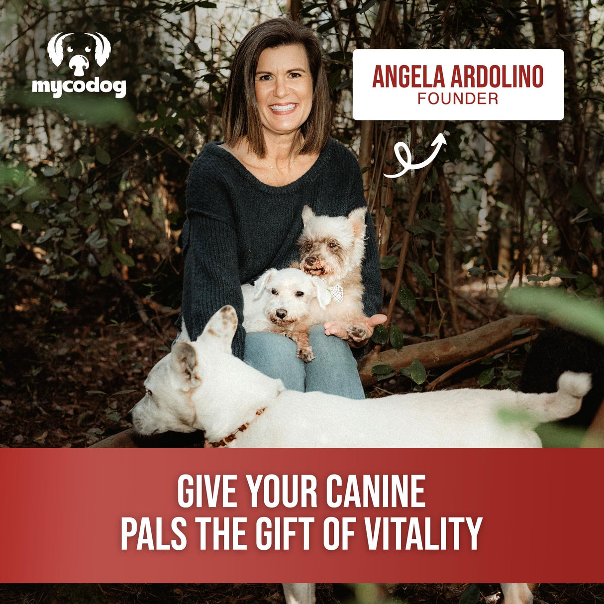 MycoDog Vitality - Mushroom & Adaptogen Supplement for Dogs - Immune Health, Senior Dog, & Daily Wellness Support - Turkey Tail Mushroom for Dogs, Reishi, Chaga