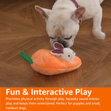 Interactive Hide and Seek Squeaky Dog Plush Toy, Rabbit and Carrot, Orange and White, 5-Pack