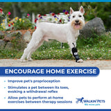 Walkin' Pets Front No-Knuckling Training Socks for Dogs - 3+ Inches, 100+ lbs