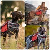 DENTRUN Dog Hiking Backpack, Hound Dog Saddlebag Backpack, Nylon Dog Harness Vest with Side Pockets Hiking Pack, Dog Backpack Hiking Walking Training Running for Medium & Large Dogs