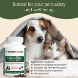 Real Mushrooms Turkey Tail Capsules for Pets –Cat Probiotics & Dog Vitamins – Organic Mushroom Supplement for Dogs & Cats – Supports Daily Balance & Well-Being Non-GMO, 90 ct