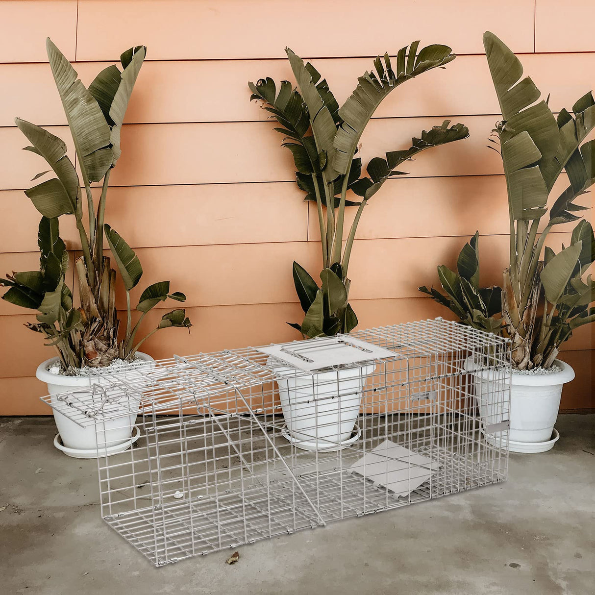 2-Pack H&B Live Animal Cage Trap,Folding 32x10x12 inch Humane Cat Trap for Stray Cats,Raccoons,Squirrel,Skunk,Mole,Groundhog,Opossums Armadillo,Rabbit,Catch and Release(Silver)