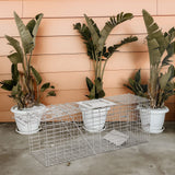 2-Pack H&B Live Animal Cage Trap,Folding 32x10x12 inch Humane Cat Trap for Stray Cats,Raccoons,Squirrel,Skunk,Mole,Groundhog,Opossums Armadillo,Rabbit,Catch and Release(Silver)