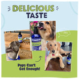 Pawstruck Pure Human-Grade Wild Alaskan Salmon Oil for Dogs & Cats – Omega 3 & 6, Extra Strength Supplement, EPA DHA Fatty Acids for Immune Support