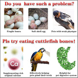 Clyairmao Bird Cuttlebone for Parakeets Cuttlebone for Birds - 100% Natural Cuttlefish Bone Bulk Chew Toy Bird Bites Calcium Stone for Canaries Tortoises,Snails,Reptiles,Parrots,Cockatiel