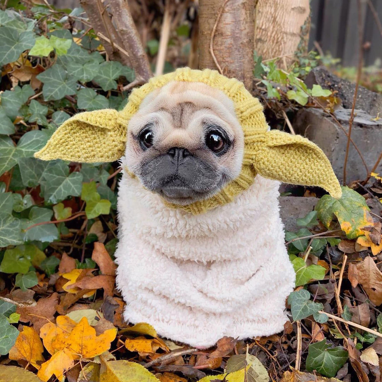 Zoo Snoods Baby Yoda Costume - Alien Knit Dog Snood Wrap for Pets, Warm Neck Ear Cover Protection for Halloween and Winter (Medium)
