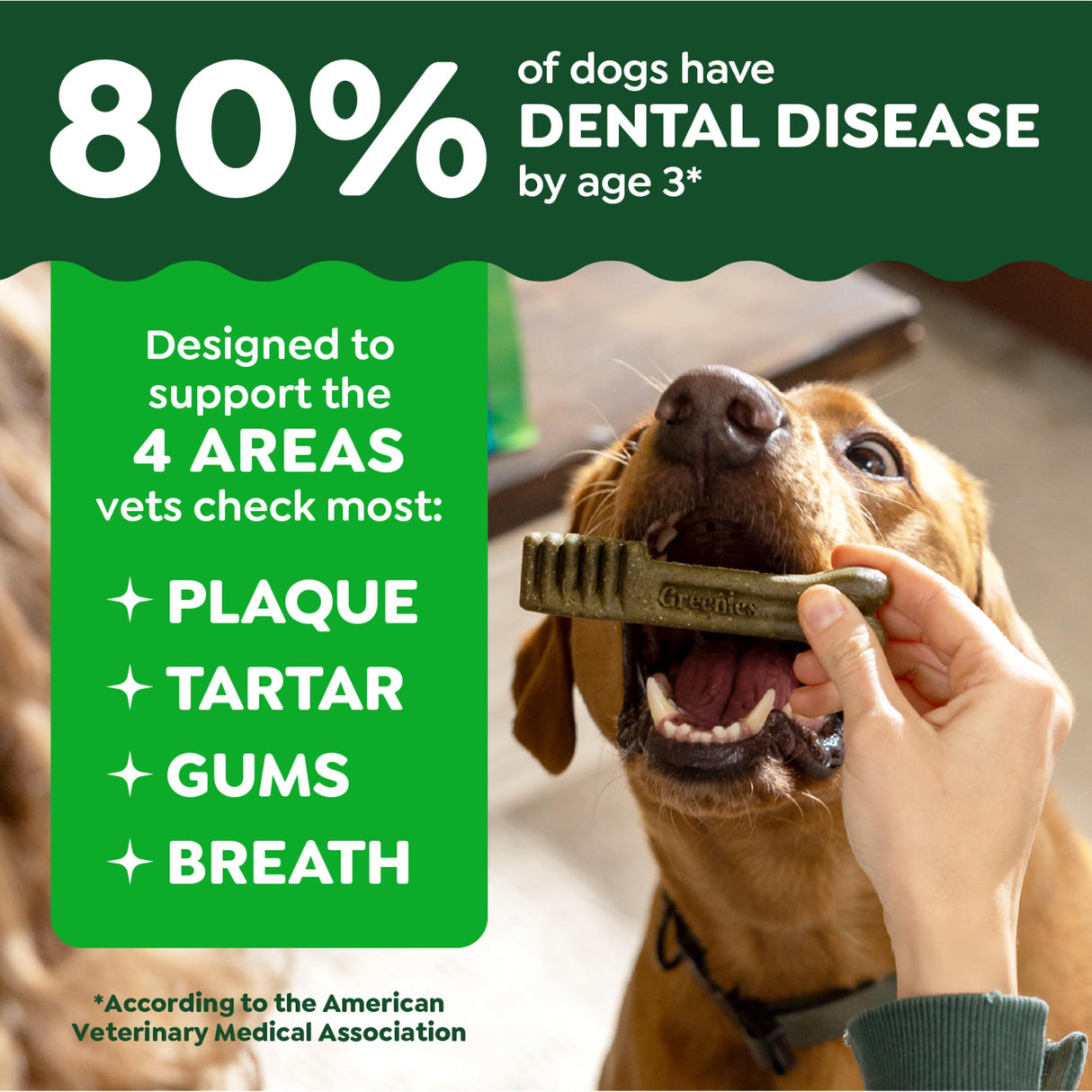 Greenies Veterinarian-Recommended Adult Natural Dental Dog Treats Petite Size, Blueberry Flavor, 12 oz. Pack, 20 Count