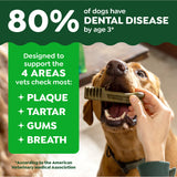 Greenies Veterinarian-Recommended Adult Natural Dental Dog Treats Petite Size, Blueberry Flavor, 12 oz. Pack, 20 Count